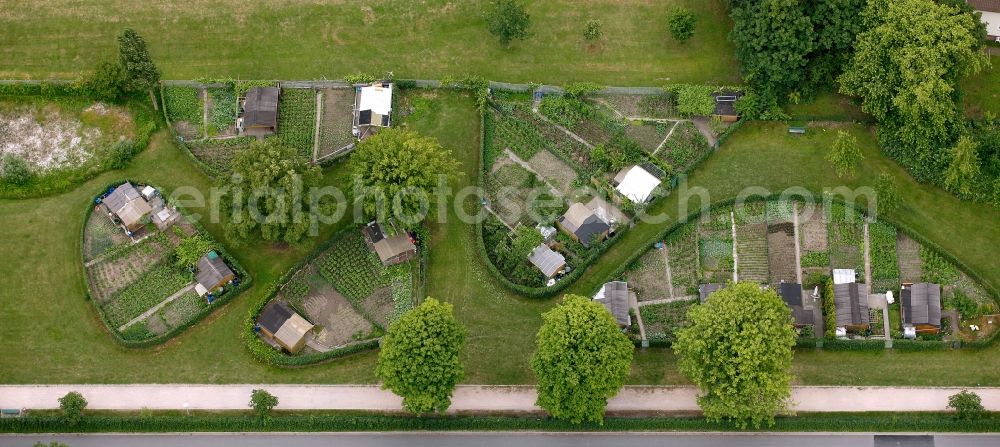 Hamm from the bird's eye view: Allotments on the outskirts in Hamm in North Rhine-Westphalia