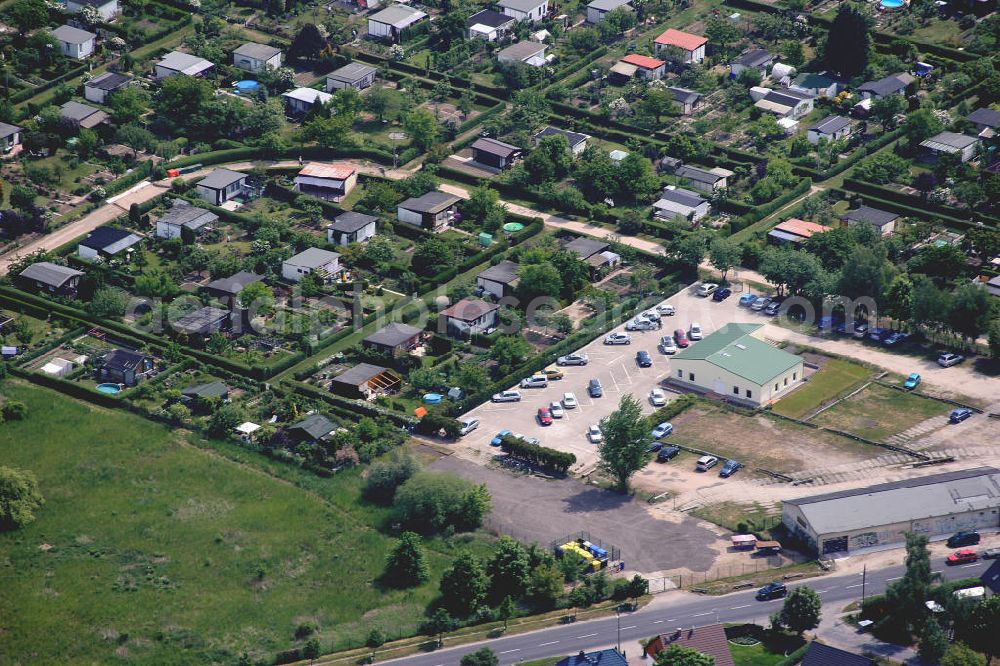 Berlin Mahlsdorf from the bird's eye view: Blick auf das Einfamilienhaus - und Kleingarten - Wohngebiet an der Dahlwitzer Straße , Tizianstraße , Daffinger Weg , Schongaustraße in Mahlsdorf an der Stadtgrenze zu Birkenstein.