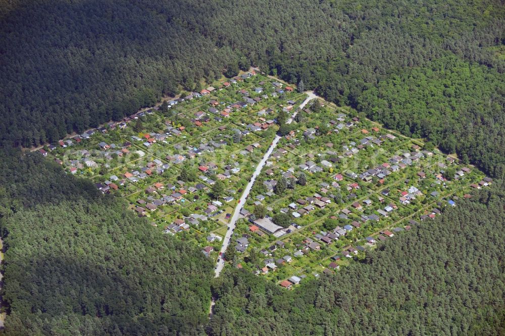 Berlin from the bird's eye view: Allotment close to the nature reserve Teufelsfenn at the Drachenberg mountain in the city part of Grunewald in Berlin in the state of Brandenburg. View of the square garden plot at the Neuer Schildhornweg street. The allotments are enclosed by the forest of Grunewald, close to a forestry office and a forest museum