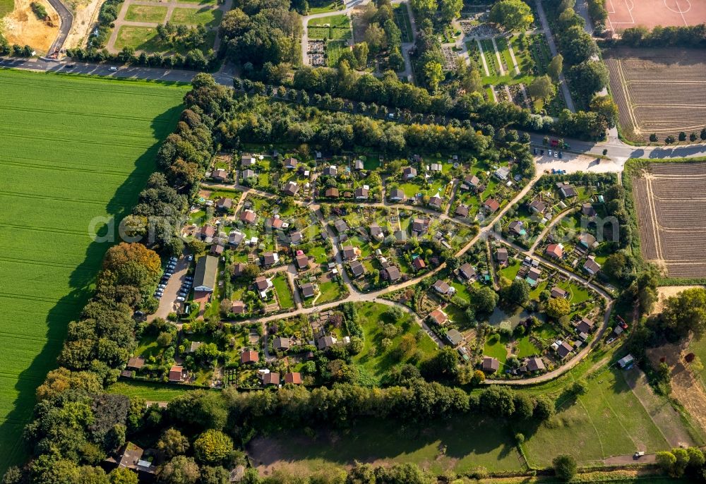 Aerial image Bottrop - View of an allotment in Bottrop in the state North-Rhine Westphalia