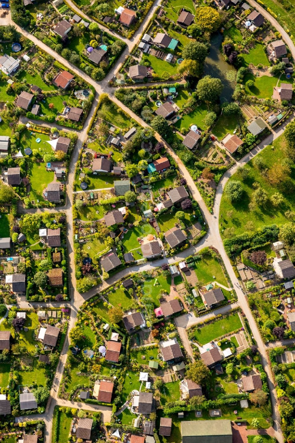 Bottrop from the bird's eye view: View of an allotment in Bottrop in the state North-Rhine Westphalia