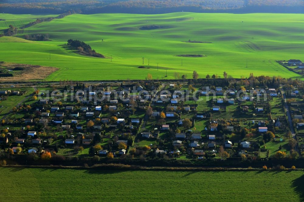 Küssow Neubrandenburg from above - Allotment system Küssow in Neubrandenburg in Mecklenburg - Western Pomerania