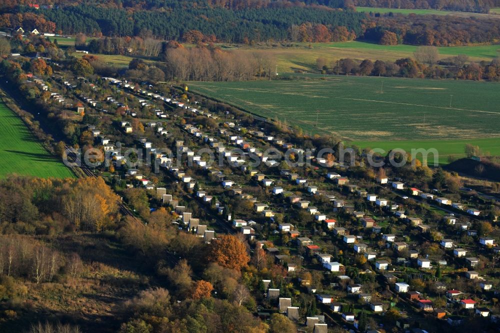 Aerial photograph Küssow Neubrandenburg - Allotment system Küssow in Neubrandenburg in Mecklenburg - Western Pomerania