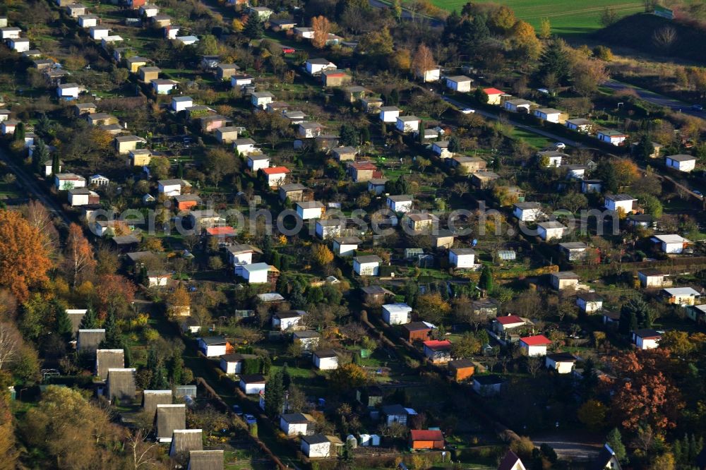 Küssow Neubrandenburg from above - Allotment system Küssow in Neubrandenburg in Mecklenburg - Western Pomerania