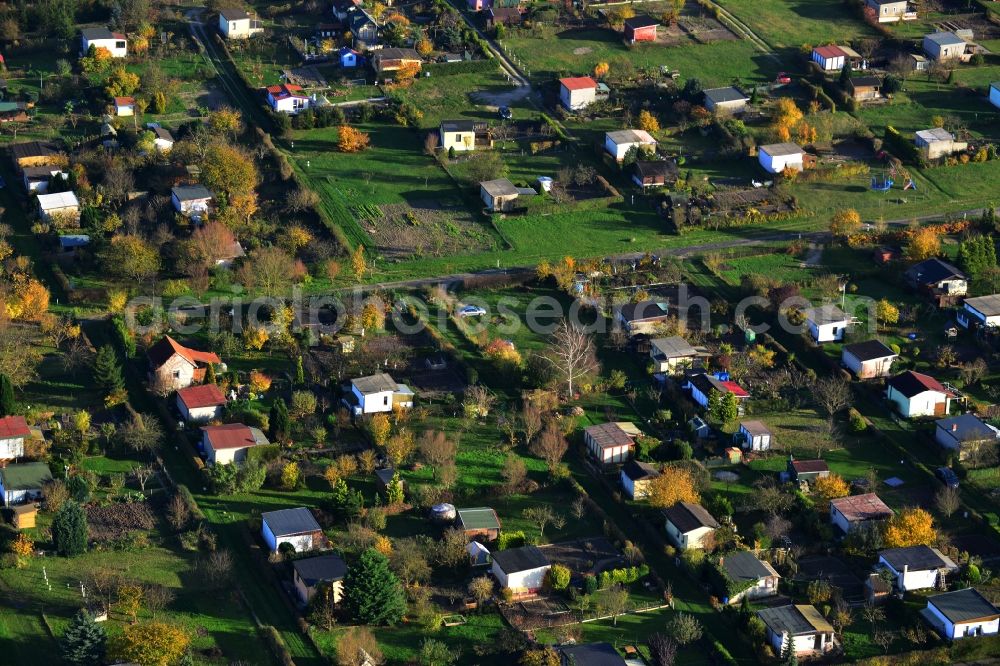 Küssow Neubrandenburg from the bird's eye view: Allotment system Küssow in Neubrandenburg in Mecklenburg - Western Pomerania