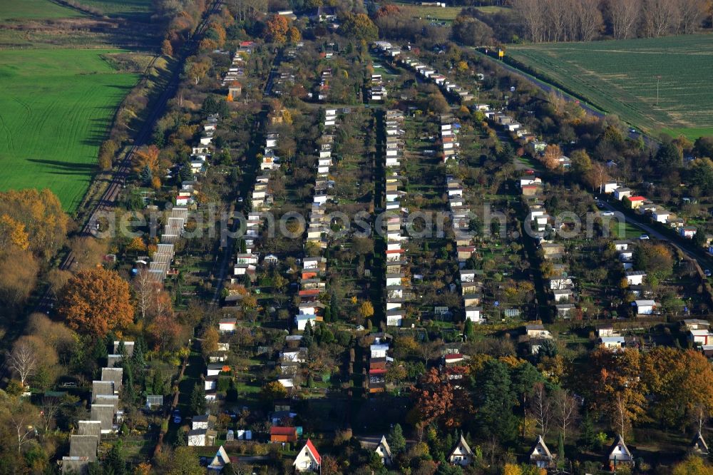 Aerial photograph Küssow Neubrandenburg - Allotment system Küssow in Neubrandenburg in Mecklenburg - Western Pomerania