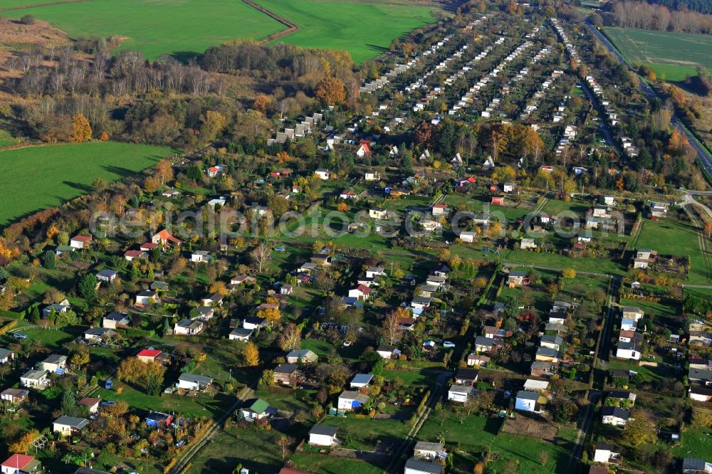 Küssow Neubrandenburg from above - Allotment system Küssow in Neubrandenburg in Mecklenburg - Western Pomerania