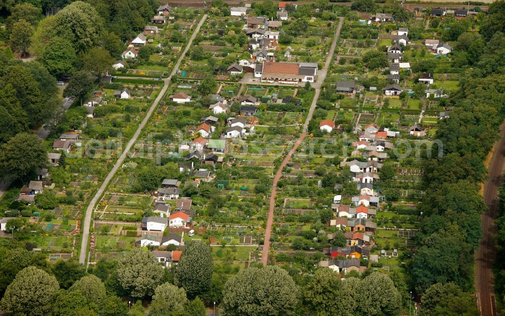 Aerial image Gladbeck - View of the allotment garden area Nordpark in Gladbeck in the state North Rhine-Westphalia