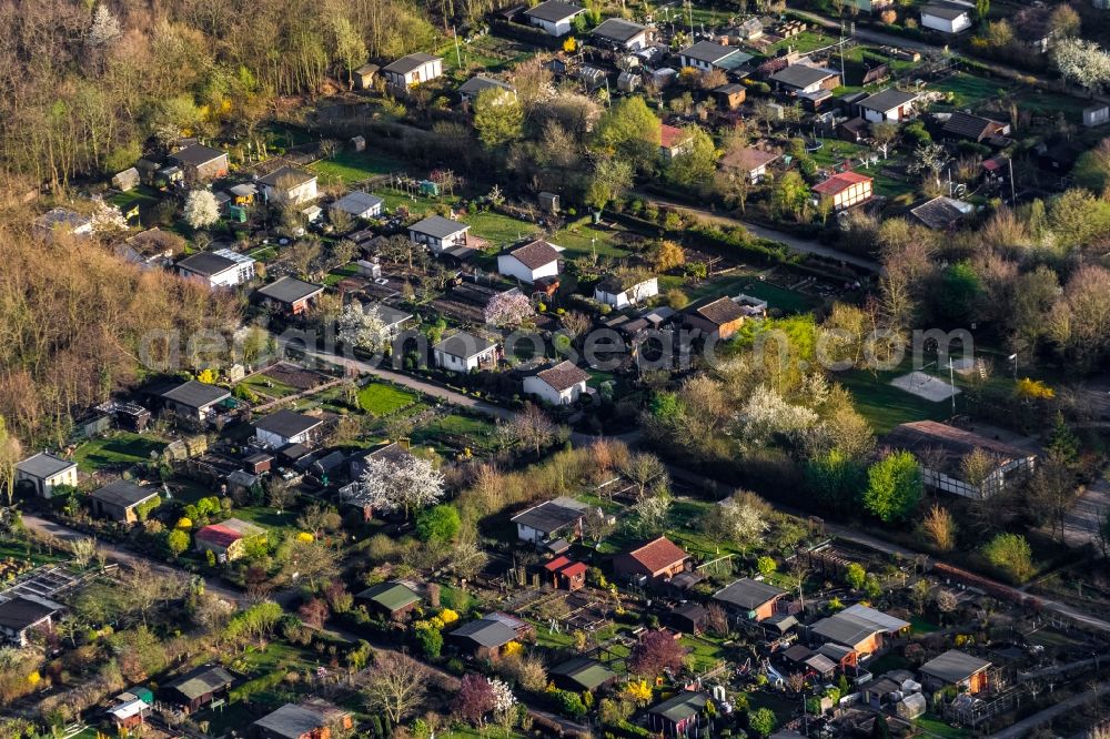 Aerial image Bottrop - View of the allotment Am Quellenbusch in Bottrop in the state of North Rhine-Westphalia