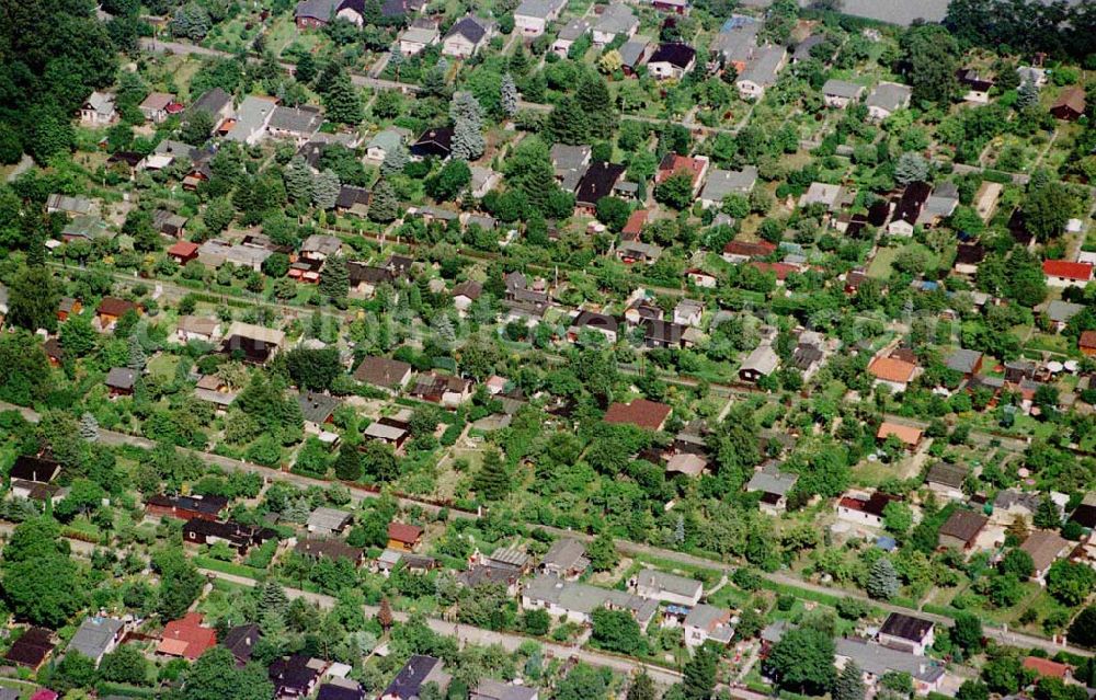 Berlin-Spandau from the bird's eye view: Kleingartenanlage am Spandauer Damm