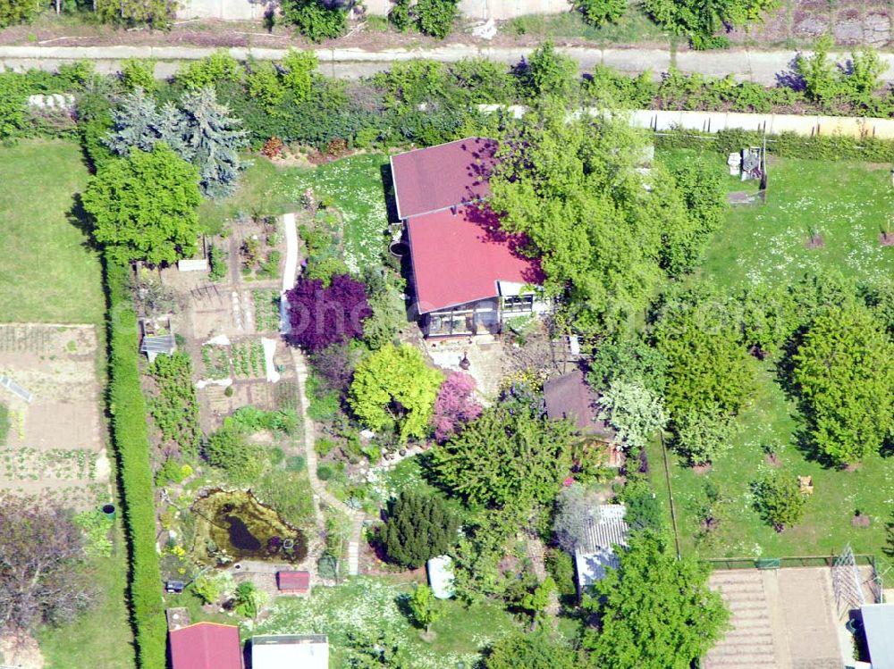 Aerial photograph Magdeburg - Kleingartenanlagee von Frau Barbara Binkebank in Magdeburg Cracau