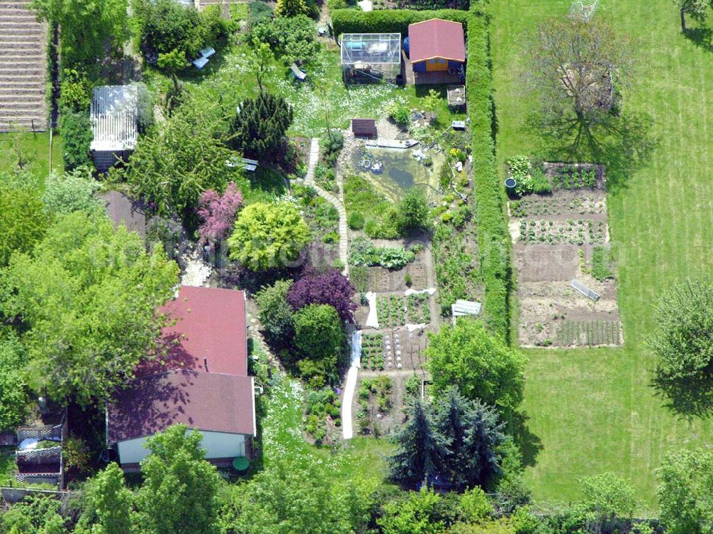 Magdeburg from the bird's eye view: Kleingartenanlagee von Frau Barbara Binkebank in Magdeburg Cracau