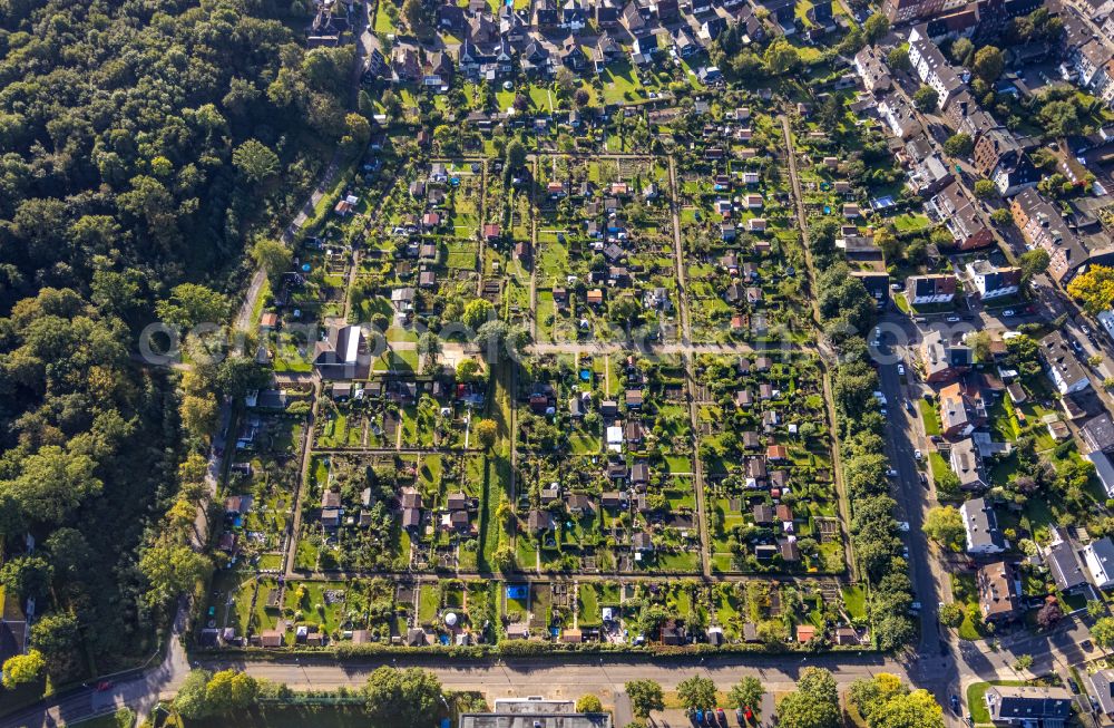 Aerial image Erle - Allotment gardens and cottage settlement in Erle in the state North Rhine-Westphalia, Germany