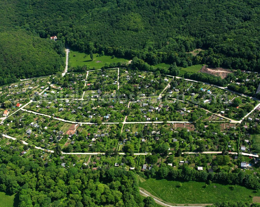 Aerial photograph Wernigerode - Allotment gardens and cottage settlement on street Gladiolenweg in Wernigerode in the Harz in the state Saxony-Anhalt, Germany