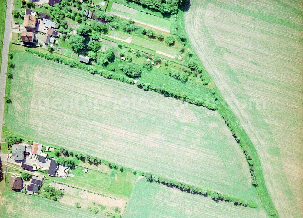 Aerial photograph Forst / BRA - Kleingartenanlagen in Forst / BRA.