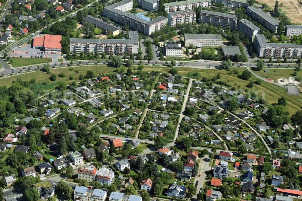 Aerial photograph Berlin - Allotments gardens plots of the association - the garden colony of Bezirksverband of Gartenfreunde Berlin-Hellersdorf e.V. on street Am Wiesenhang in the district Kaulsdorf in Berlin, Germany