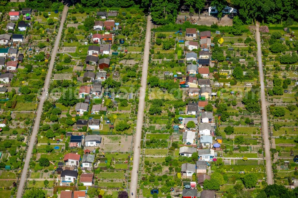 Aerial photograph Gelsenkirchen - Allotments gardens plots the garden colony on Huelser Strasse in the district Buer in Gelsenkirchen in the state North Rhine-Westphalia, Germany