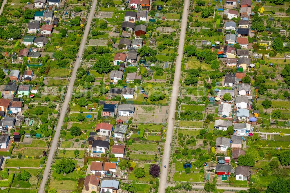 Gelsenkirchen from above - Allotments gardens plots the garden colony on Huelser Strasse in the district Buer in Gelsenkirchen in the state North Rhine-Westphalia, Germany