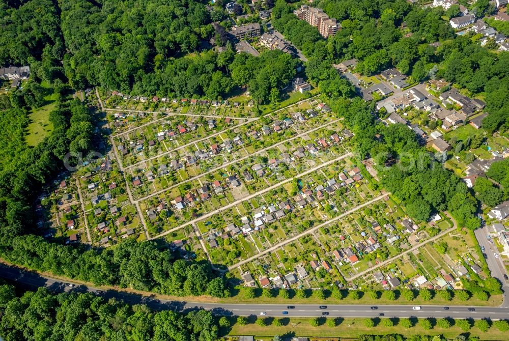 Gelsenkirchen from the bird's eye view: Allotments gardens plots the garden colony on Huelser Strasse in the district Buer in Gelsenkirchen in the state North Rhine-Westphalia, Germany