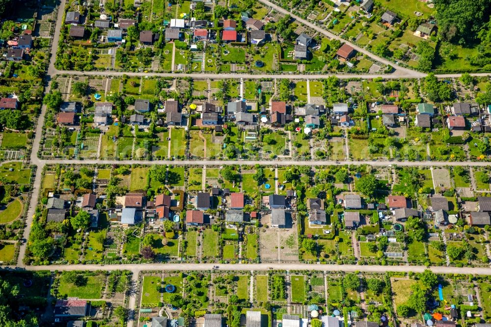 Aerial image Gelsenkirchen - Allotments gardens plots the garden colony on Huelser Strasse in the district Buer in Gelsenkirchen in the state North Rhine-Westphalia, Germany