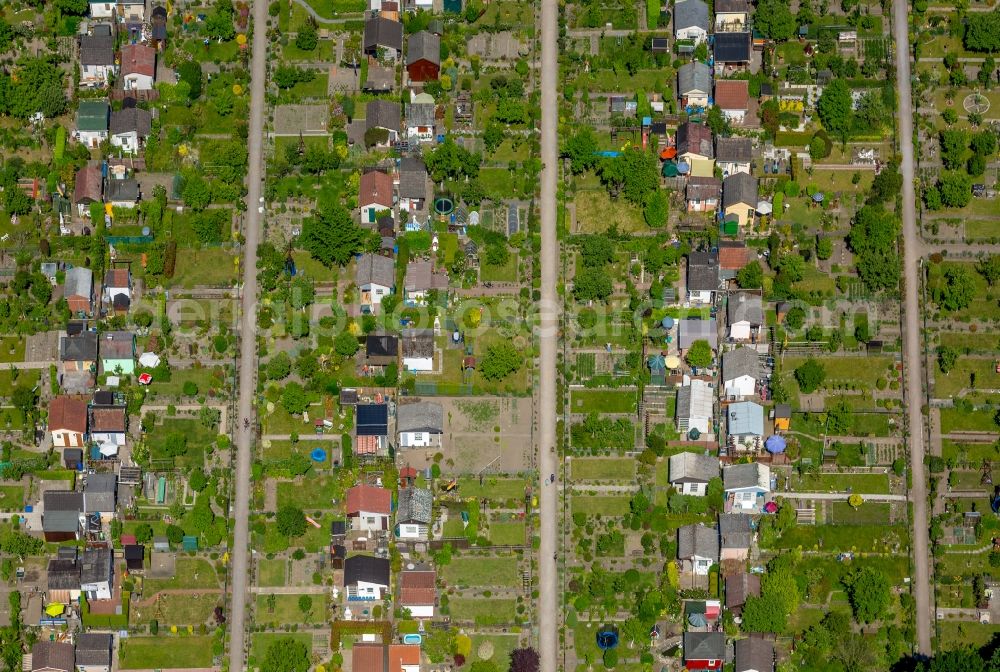 Aerial photograph Gelsenkirchen - Allotments gardens plots the garden colony on Huelser Strasse in the district Buer in Gelsenkirchen in the state North Rhine-Westphalia, Germany