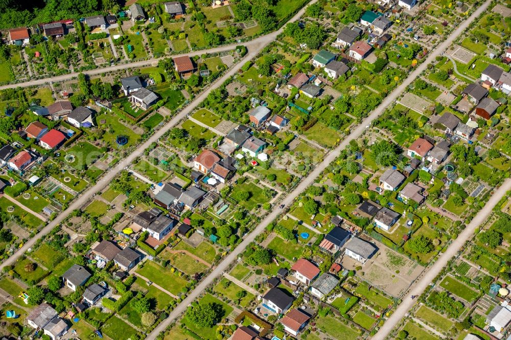 Gelsenkirchen from above - Allotments gardens plots the garden colony on Huelser Strasse in the district Buer in Gelsenkirchen in the state North Rhine-Westphalia, Germany