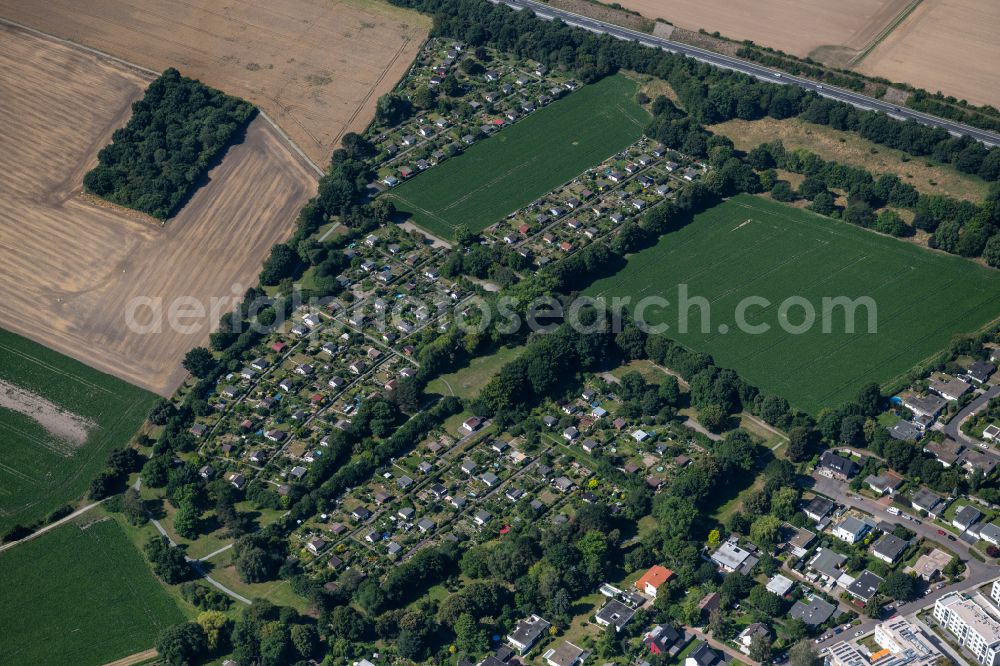 Aerial image Braunschweig - Allotments gardens plots of the association - the garden colony KGV Asseblick in Brunswick in the state Lower Saxony, Germany