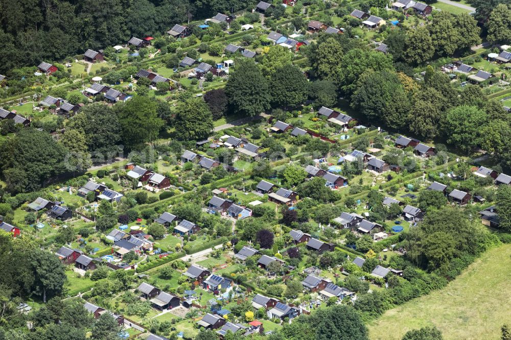 Aerial image Köln - Allotments gardens plots of the association - the garden colony Kleingarten on Eichenwald in Cologne in the state North Rhine-Westphalia, Germany