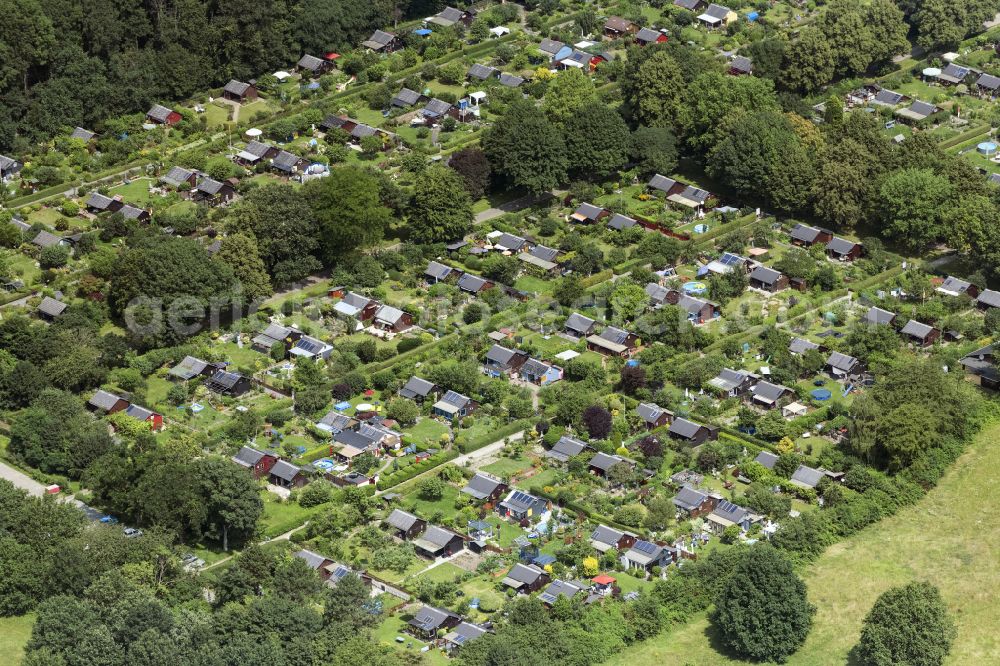 Aerial photograph Köln - Allotments gardens plots of the association - the garden colony Kleingarten on Eichenwald in Cologne in the state North Rhine-Westphalia, Germany