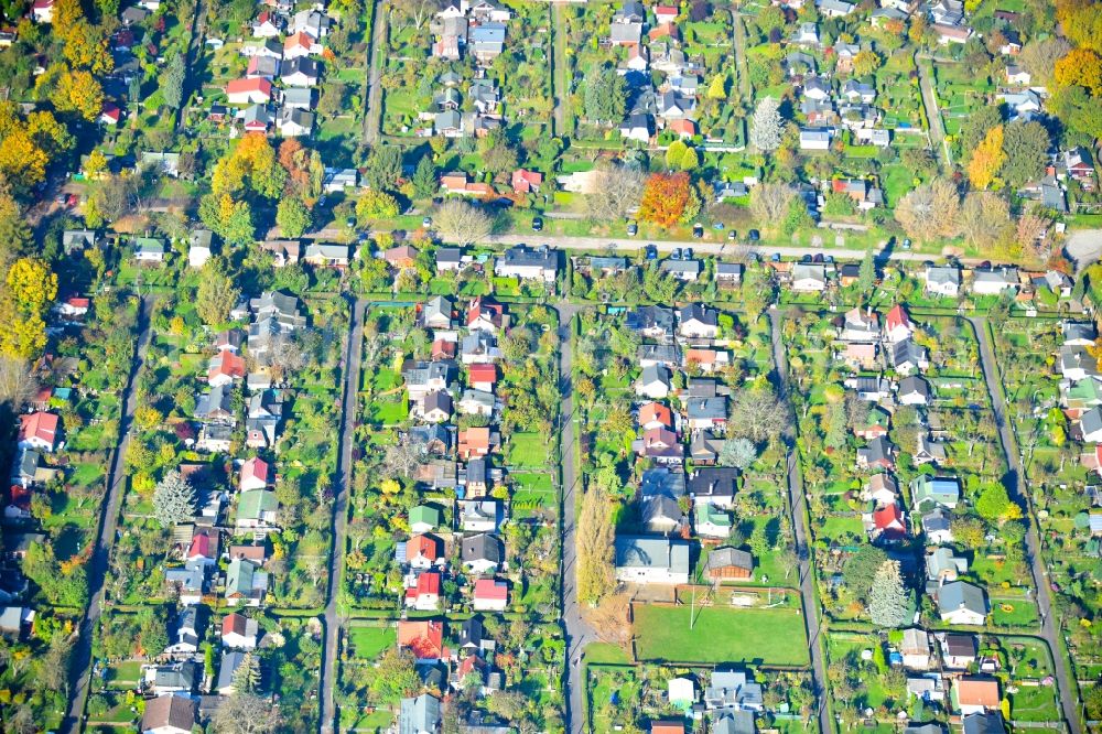 Berlin from the bird's eye view: Allotments gardens plots of the association - the garden colony Kleingartenanlage Ideal III e.V. in Berlin Neukoelln in Berlin, Germany