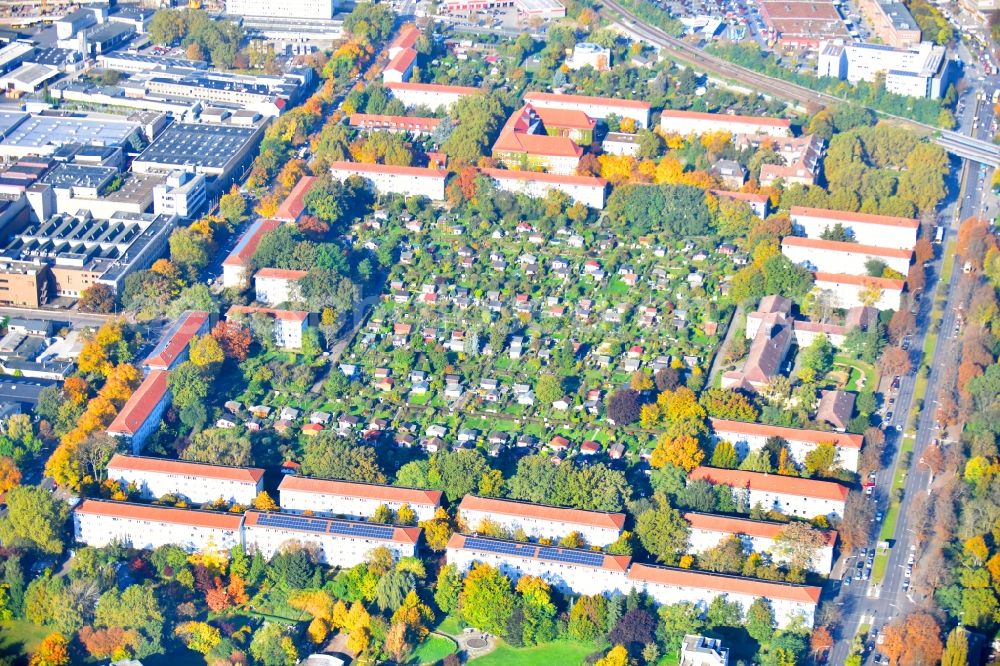 Berlin from above - Allotments gardens plots of the association - the garden colony Kleingartenanlage Ideal III e.V. in Berlin Neukoelln in Berlin, Germany