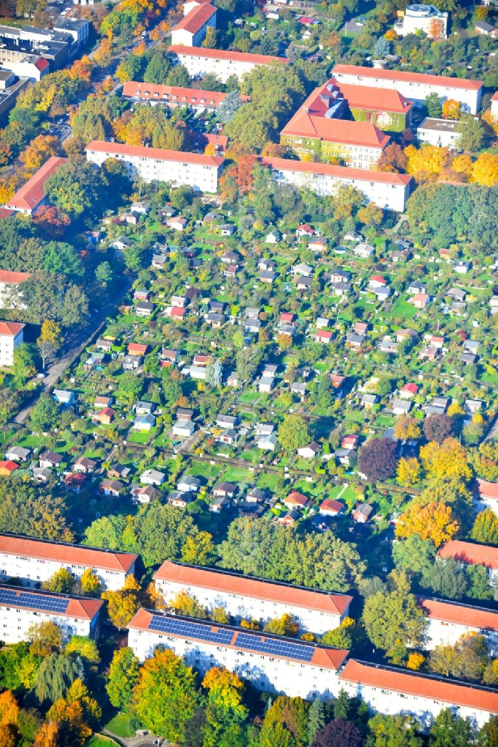 Berlin from the bird's eye view: Allotments gardens plots of the association - the garden colony Kleingartenanlage Ideal III e.V. in Berlin Neukoelln in Berlin, Germany