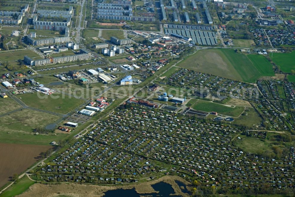 Aerial photograph Schwedt/Oder - Allotments gardens plots of the association - the garden colony Kleingartenverein Igelpfuhl in Schwedt/Oder in the state Brandenburg, Germany