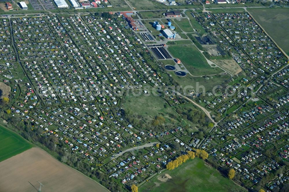 Aerial image Schwedt/Oder - Allotments gardens plots of the association - the garden colony Kleingartenverein Igelpfuhl in Schwedt/Oder in the state Brandenburg, Germany