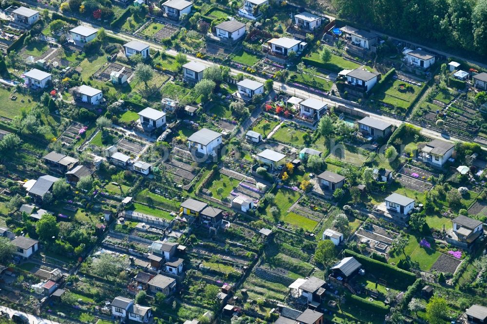 Aue from the bird's eye view: Allotments gardens plots of the association - the garden colony of Kleingartenvereins Schoener Blick e.V. in Aue in the state Saxony, Germany