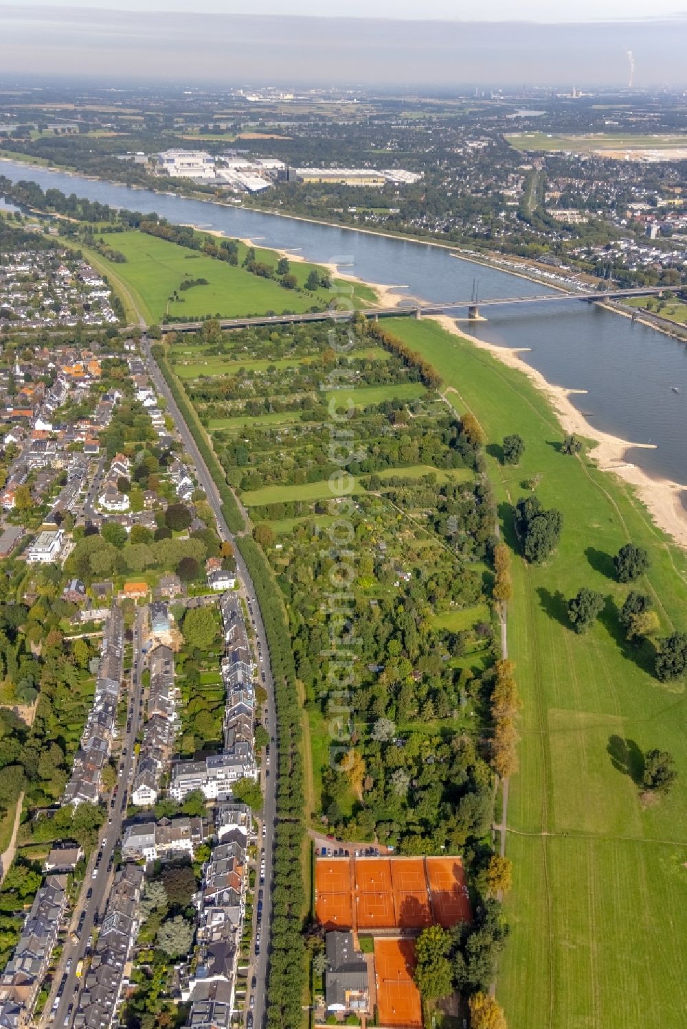 Düsseldorf from above - Allotments gardens plots of the association - the garden colony Am Pappelwaeldchen - Kaiser-Friedrich-Ring in the district Niederkassel in Duesseldorf at Ruhrgebiet in the state North Rhine-Westphalia, Germany