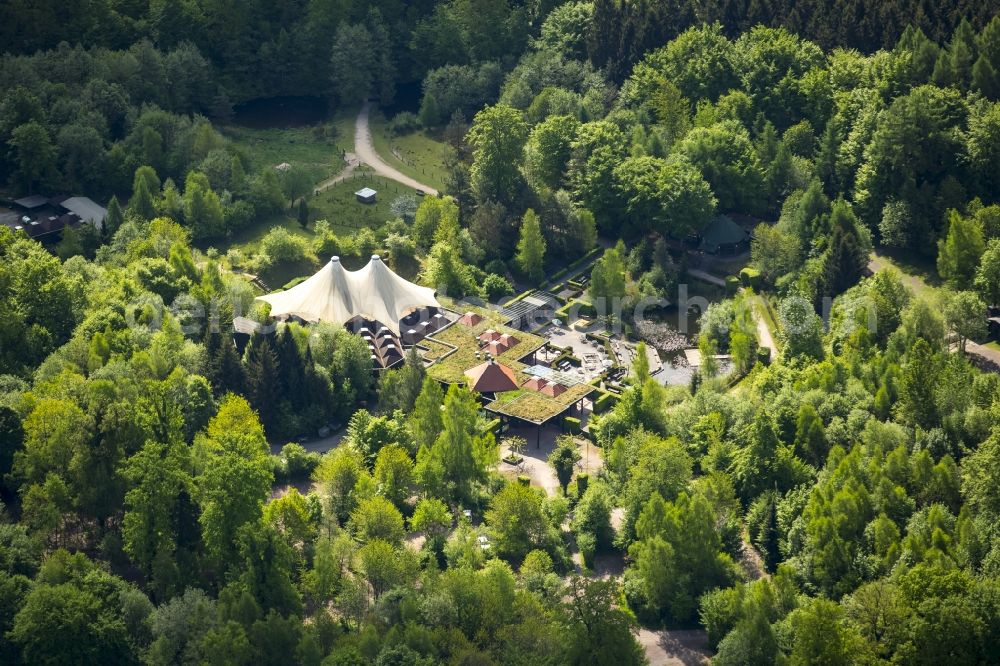 Arnsberg from the bird's eye view: Klettergarten Wildwald in Arnsberg in the state North Rhine-Westphalia