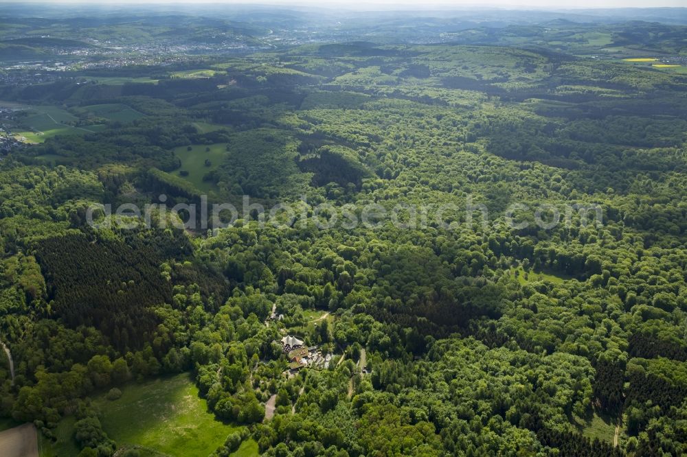 Aerial image Arnsberg - Klettergarten Wildwald in Arnsberg in the state North Rhine-Westphalia