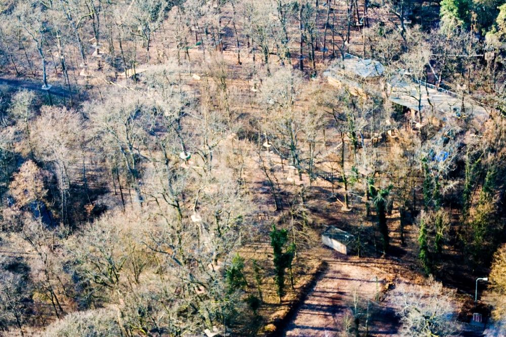 Kandel from above - Climbing park Fun Forest GmbH AbenteuerPark Kandel in Kandel in the state Rhineland-Palatinate