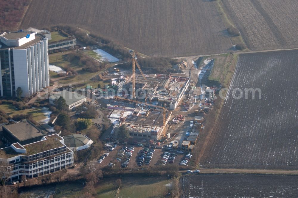 Ludwigshafen am Rhein from the bird's eye view: Hospital grounds of the Clinic BG Klinik Ludwigshafen in Ludwigshafen am Rhein in the state Rhineland-Palatinate