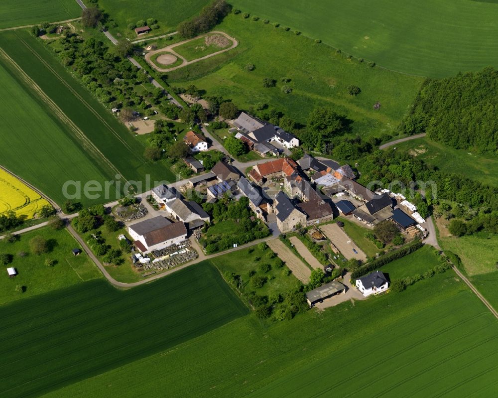 Aerial photograph Burgbrohl - Ruins of the monastery of Buchholz in the borough of Burgbrohl in the state of Rhineland-Palatinate. The former monastery and outbuildings from the 12th century are used as farm buildings and houses today. The remaining church is a protected heritage site