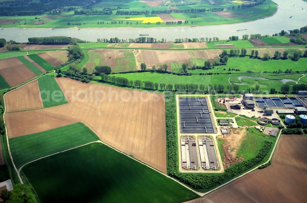 Aerial image Meerbusch - Sewage treatment plant on the banks of the river course of the Rhine in Meerbusch in North Rhine-Westphalia