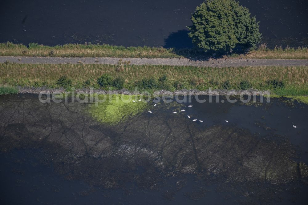 Aerial image Groß Gleidingen - Sewage ponds of the SZ-AG in the Steterburgergraben in Gross Gleidingen in the state Lower Saxony, Germany