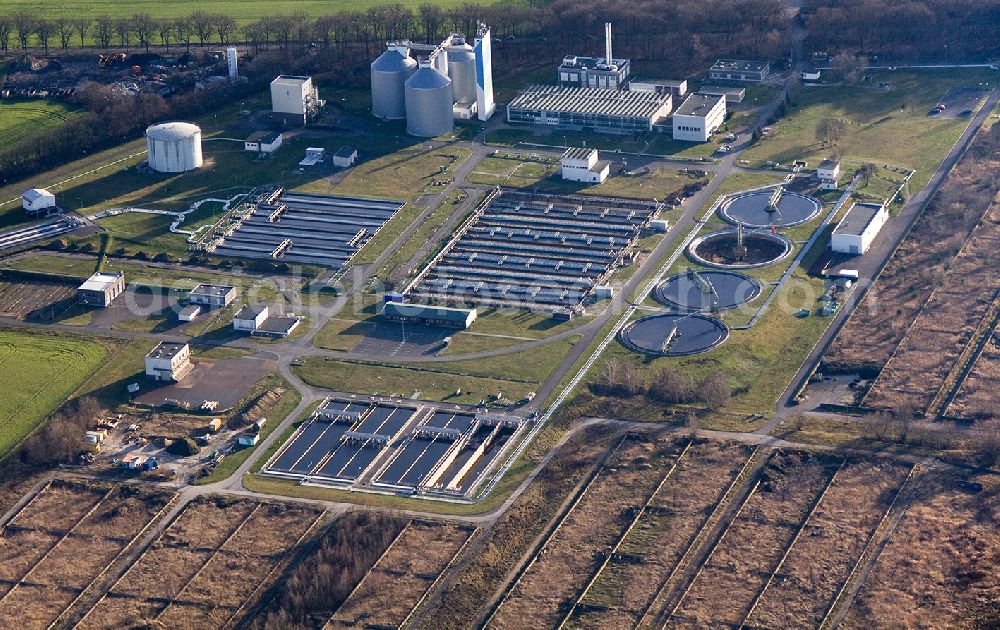 Aerial photograph Berlin - View on the wastewater treatment plant ( WWTP ) Muenchehofe of the Berlin Water Works in the Dahlwitzer Landstraße. The sewage disposal facility is located in the municipality Hoppegarten, which belongs to the district Märkisch-Oderland in the federal state of Brandenburg