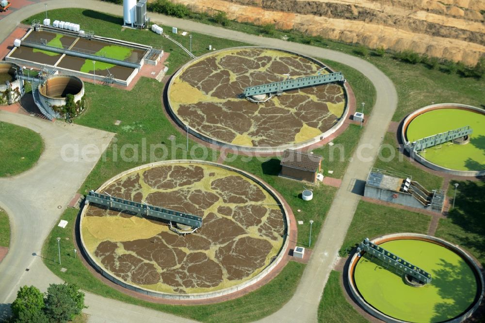 Jessen (Elster) from above - Sewage works, basin and purification steps for waste water treatment in Jessen (Elster) in the state Saxony-Anhalt. The compound and facilities are located in a forest in the West of Essen