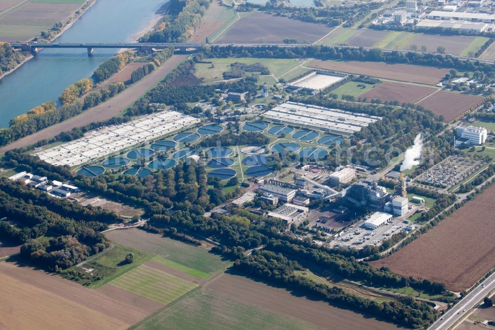 Frankenthal (Pfalz) from above - Sewage works Basin and purification steps for waste water treatment BASF Klaeranlage at the river Rhine in Frankenthal (Pfalz) in the state Rhineland-Palatinate