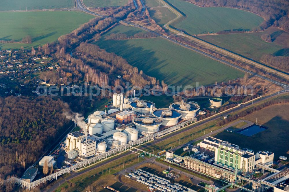 Bitterfeld-Wolfen from above - Sewage works Basin and purification steps for waste water treatment GKW-Gemeinschaftsklaerwerk Bitterfeld-Wolfen GmbH on street Am Klaerwerk in the district Greppin in Bitterfeld-Wolfen in the state Saxony-Anhalt, Germany