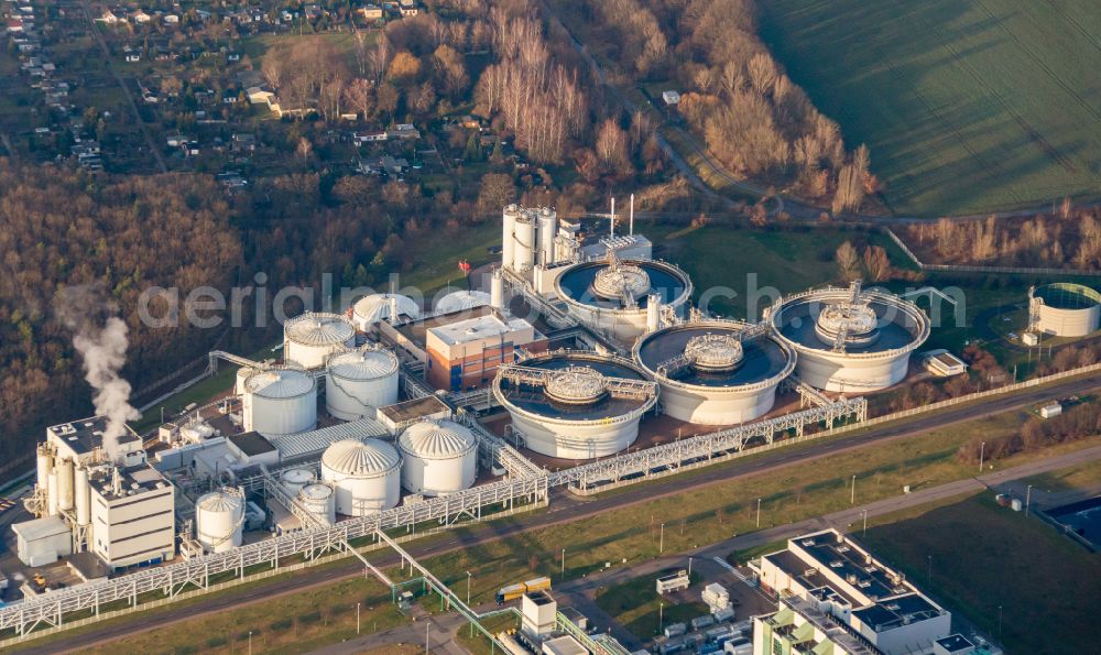 Aerial photograph Bitterfeld-Wolfen - Sewage works Basin and purification steps for waste water treatment GKW-Gemeinschaftsklaerwerk Bitterfeld-Wolfen GmbH on street Am Klaerwerk in the district Greppin in Bitterfeld-Wolfen in the state Saxony-Anhalt, Germany