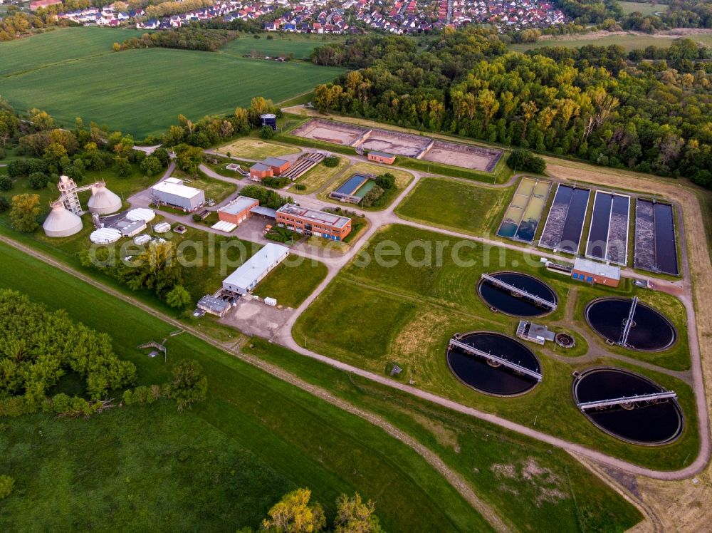 Dessau from above - Sewage works Basin and purification steps for waste water treatment in Dessau in the state Saxony-Anhalt, Germany