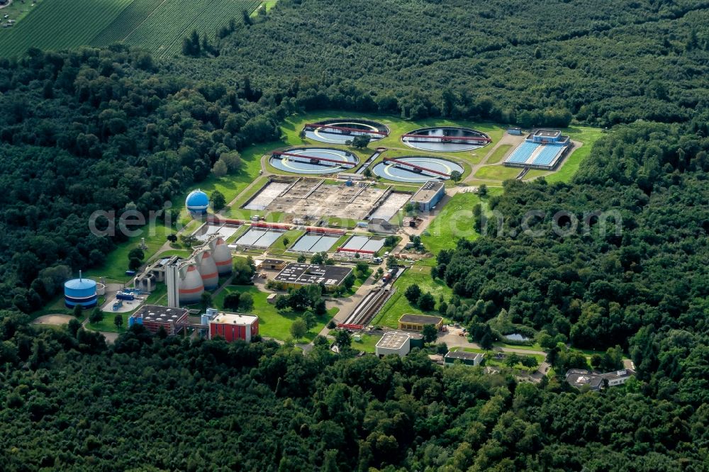 Forchheim from above - Sewage treatment basins and purification stages in Forchheim in the state Baden-Wurttemberg, Germany